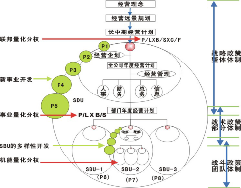 阿米巴组织结构